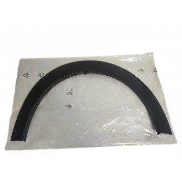 Moulure Arc de Roue Avant Droit Pour Citroën C4