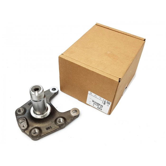 Fusée d'Essieu Arrière Pour Citroën C4