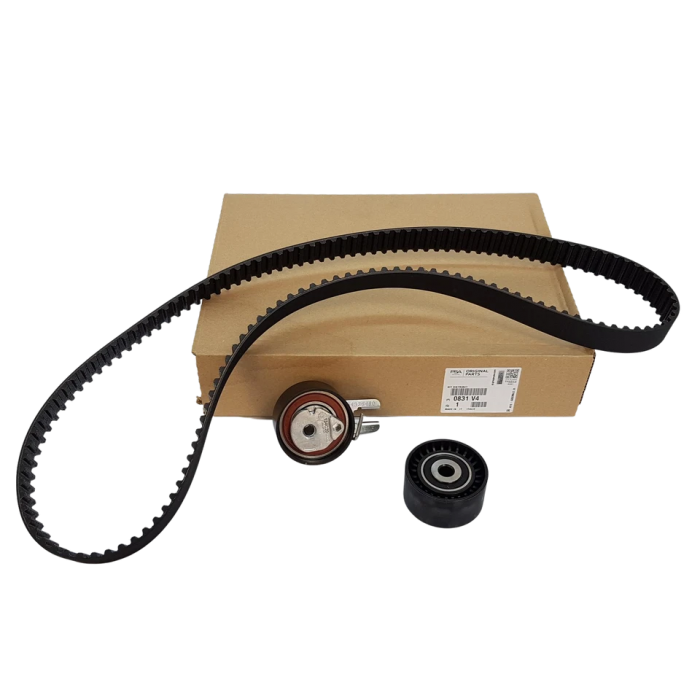 Kit Distribution Pour Peugeot Fiat Ford C-Max Fiesta V VI Focus II Fusion Suzuki