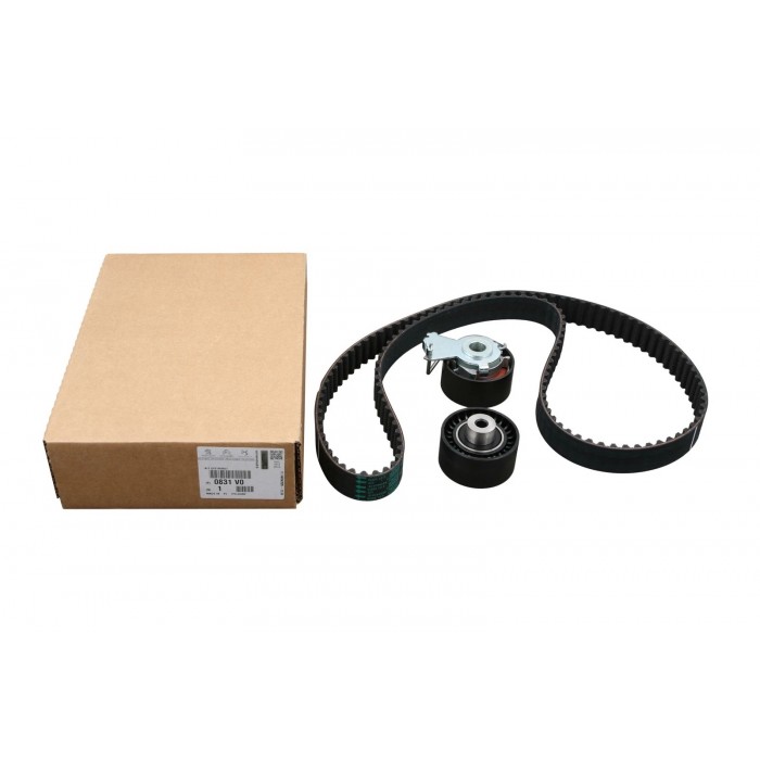 Kit Distribution Pour Peugeot 206 207 307 1007 Citroën C2 C3 C4