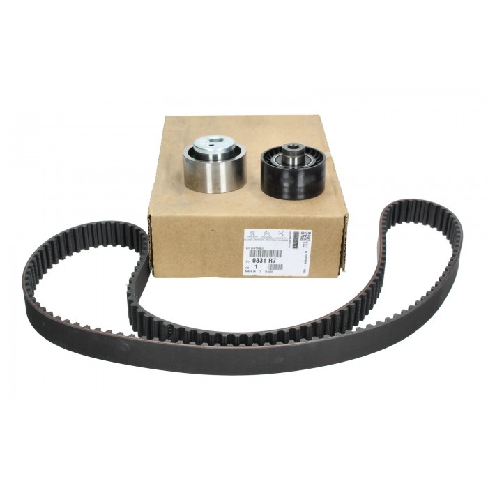 Kit Distribution Pour Peugeot 206 Fiat Toyota Citroën Berlingo C15 Jumpy Xsara