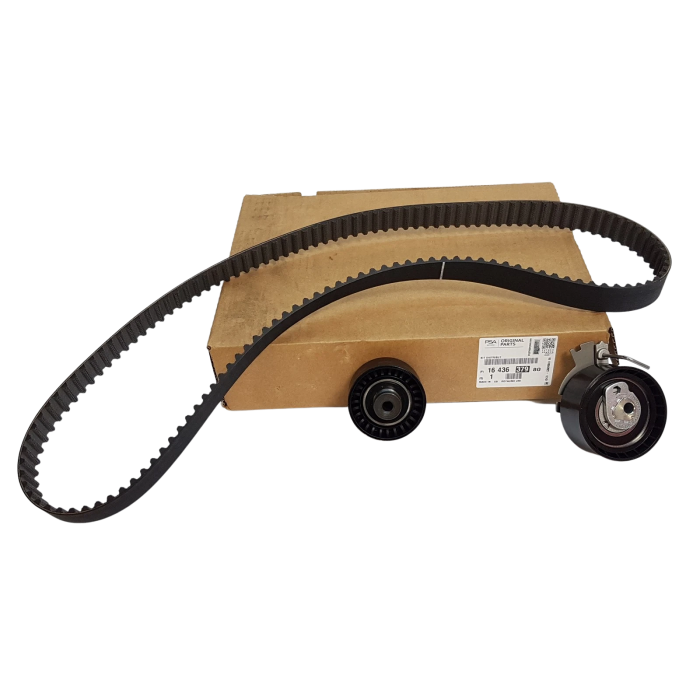 Kit Distribution Pour Peugeot 206 207 301 307 308 1007 Partner Citroën C-Elysee