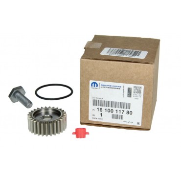 Pignon Pompe à Haute Pression Pour Peugeot 308 II 508 3008 5008 Boxer Expert C4