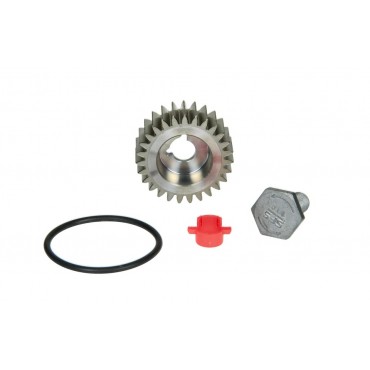 Pignon Pompe à Haute Pression Pour Peugeot 308 II 508 3008 5008 Boxer Expert C4