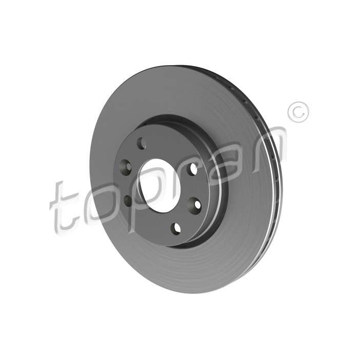 2 Disques de Frein Avant Pour Renault Dacia Nissan 7701207795 40206AX603
