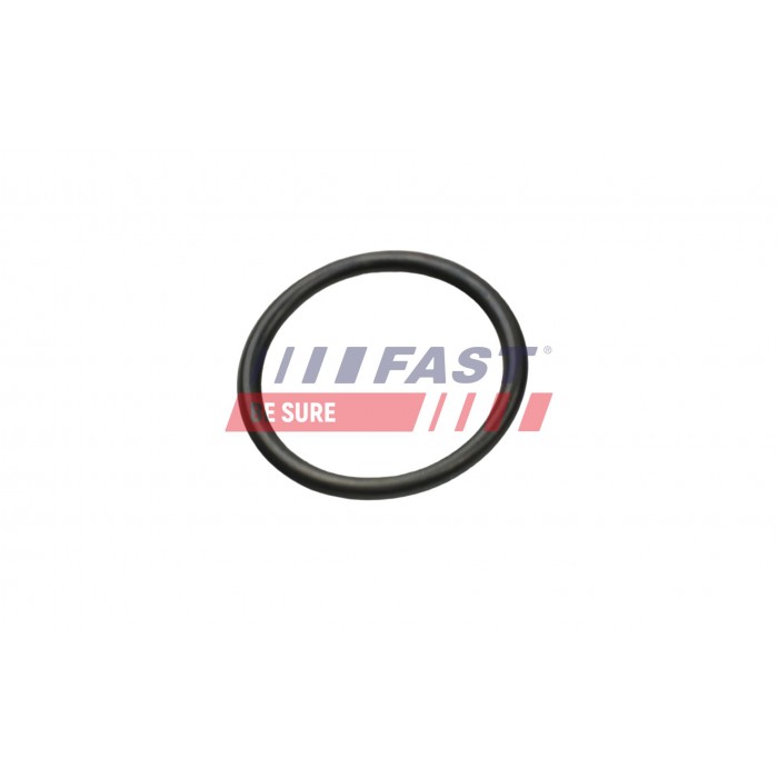 Joint de Tuyau d'Eau Pour Peugeot Fiat Ford Citroën 134091 9667539080 1098190