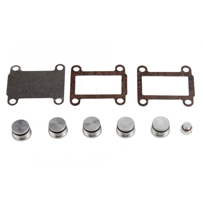 Kit de Réparation Collecteur d'Admission Pour Fiat Alfa Romeo Lancia 55210197