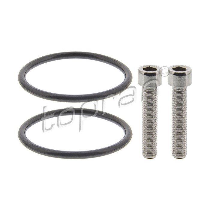 Joints de Pompe Haldex Pour VW Audi Seat Skoda Octavia II Superb Yeti 0AY598305