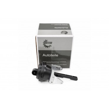 Capsule de Dépression Pour VW EOS Golf Plus V Jetta III Audi Skoda 03C129061B