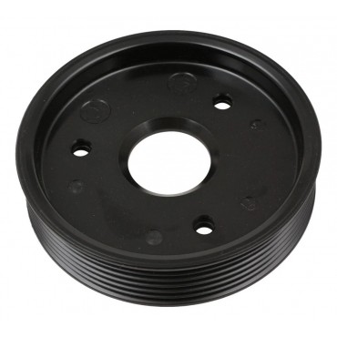 Poulie de Pompe de Direction Assistée Pour Renault Megane I