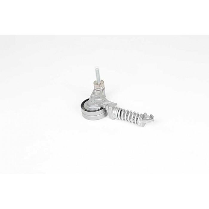 Galet Tendeur Courroie d'Accessoire Pour Opel Suzuki Chevrolet Vauxhall 90531965