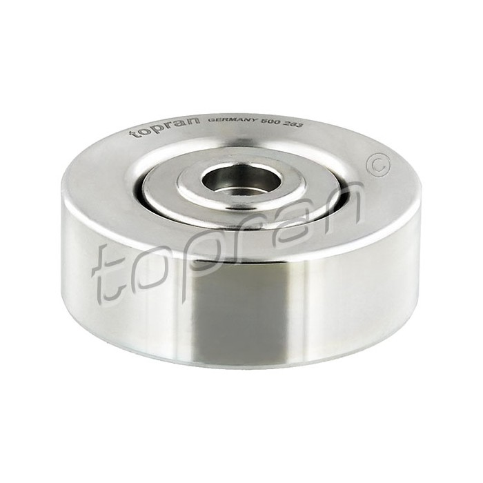 Galet enrouleur de Courroie d'Accessoire Pour BMW Série 3 E46 5 E39 7 E38