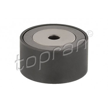 Galet enrouleur de Courroie d'Accessoire Pour Renault Clio II 7700867985
