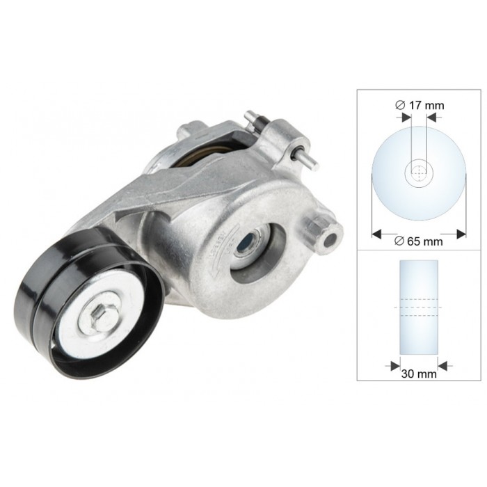 Galet Tendeur Courroie d'Accessoire Pour Mercedes-Benz Chrysler Jeep 6422000070