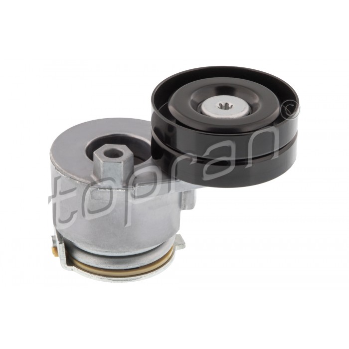 Galet Tendeur Courroie d'Accessoire Pour Renault Opel Nissan Mitsubishi 4409587