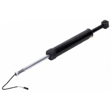 Amortisseur Arrière Pour Maserati Ghibli III Quattroporte VI 06700332440