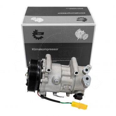Compresseur de Clim Pour Peugeot Citroën DS 9684960280 6453QJ 1607424980 6453QK