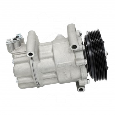 Compresseur de Clim Pour Peugeot Citroën DS 9684960280 6453QJ 1607424980 6453QK