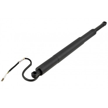 Vérin Hayon de Coffre Pour BMW Série 5 G31 51249482791