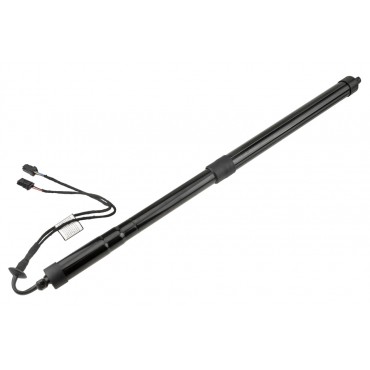 Vérin Hayon de Coffre Gauche Pour Citroën C4 9812130180