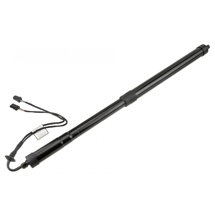 Vérin Hayon de Coffre Gauche Pour Citroën C4 9812130180