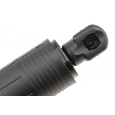 Vérin Hayon de Coffre Pour Infiniti QX60 905609NJ1A