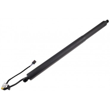 Vérin Hayon de Coffre Gauche Pour Nissan Qashqai 905616UA0C