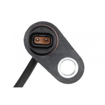 Pompe à Huile Pour Ford Focus IV Galaxy Kuga III Mondeo V S-Max Tourneo Transit