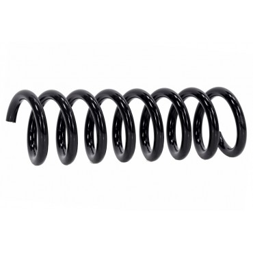 Ressort de Suspension Arrière Pour Mercedes-Benz Classe C 2043240304