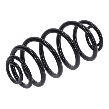 Ressort de Suspension Arrière Pour Opel Meriva A 13157945 13164609 424086