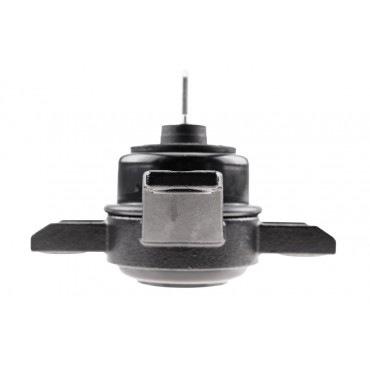 Support Moteur Droit Pour Hyundai Santa Fé II 21811-2B100