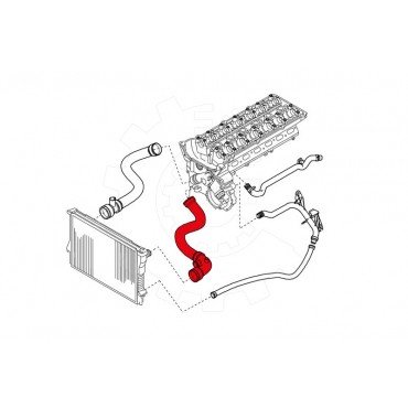 Tuyau d'Eau Liquide de Refroidissement Pour BMW Série 3 E46 Z3 E36 11531436375