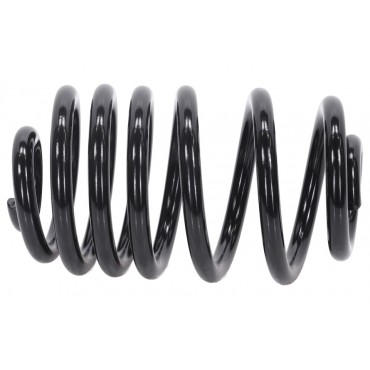 Ressort de Suspension Arrière Pour Renault Opel Nissan 550202870R 4409728