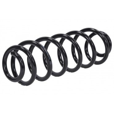 Ressort de Suspension Arrière Pour VW Golf V VI Skoda Superb II