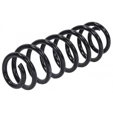 Ressort de Suspension Arrière Pour VW Passat 3C0511115AR