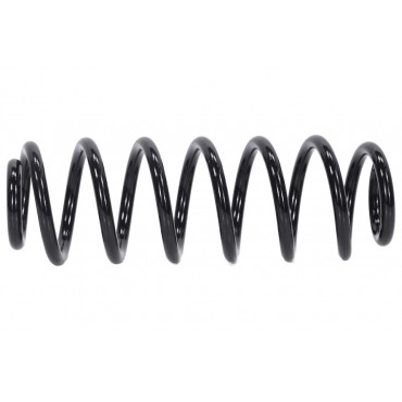 Ressort de Suspension Arrière Pour VW Passat 3C0511115AR