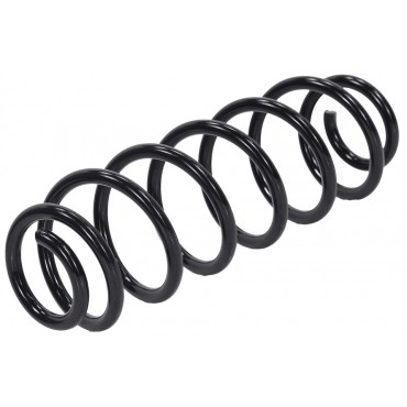 Ressort de Suspension Arrière Pour VW Golf V VI Skoda Rapid