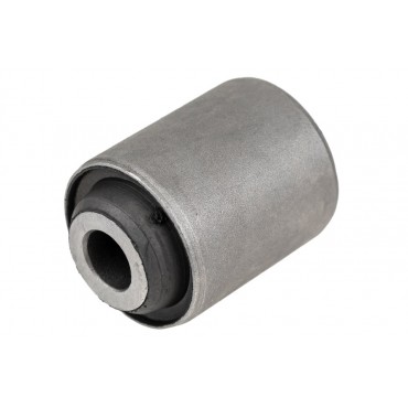 Silent Bloc de Bras de Suspension Pour Hyundai ix55 Santa Fé I II III Kia