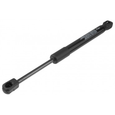 Vérin de Capot Moteur Pour BMW X3 F97 G01 G08 X4 F98 G02 51237397494