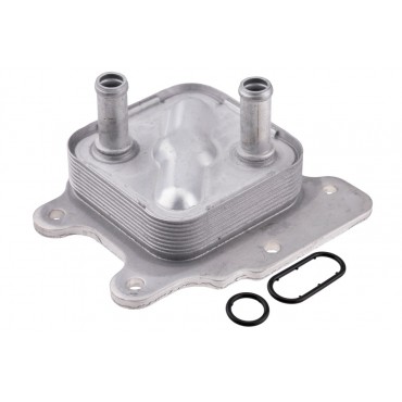 Radiateur d'Huile Moteur Pour Nissan Altima Teana III 213053TA0A