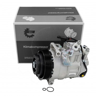 Compresseur de Clim Pour Mercedes-Benz Classe C T-Model E GLK CLS SLK 0008302100