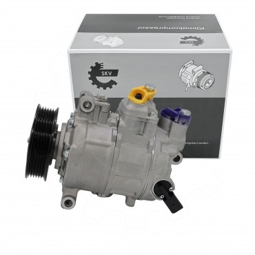 Compresseur de Clim Pour Audi A4 A6 Seat Exeo