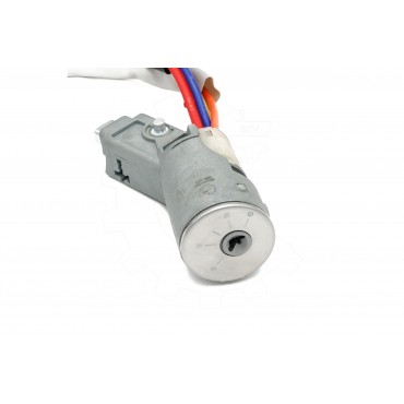 Contacteur Serrure d'Allumage Pour Peugeot Partner Citroën Berlingo 4162.CF