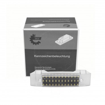 Feux de Plaque d'Immatriculation Pour Renault Opel Nissan 26510-00QAJ 2651000QAJ