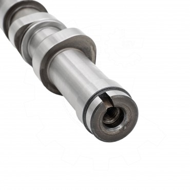 Arbre à Cames Pour Peugeot Opel Fiat Ford B-Max C-Max II Ecosport AV6Q6250BA