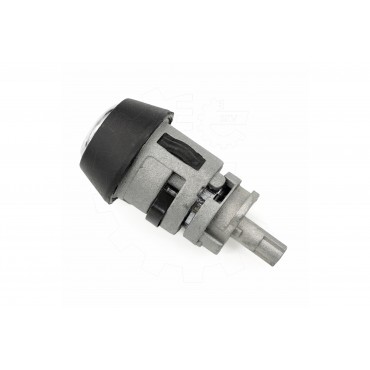 Kit Barillet Serrure Poignée de Porte Neiman Pour VW Golf II Polo 191898081