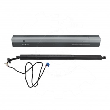 Vérin de Coffre Arrière Droit Pour Mercedes-Benz Classe B A2478905600