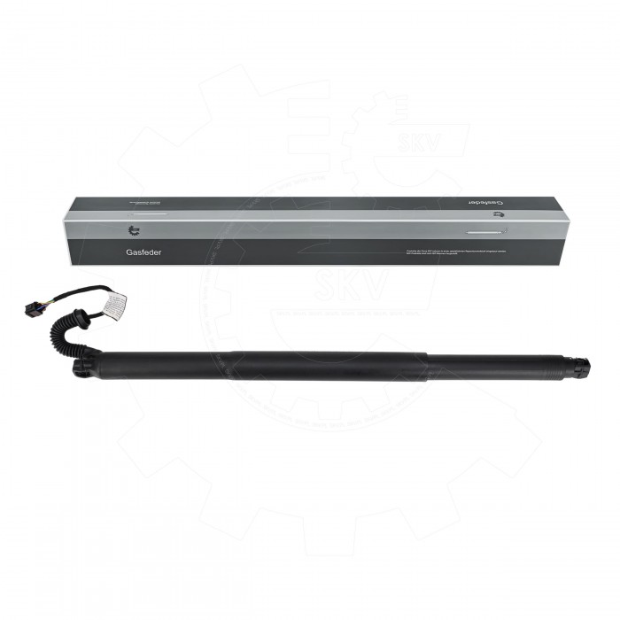 Vérin de Coffre Arrière Gauche Pour VW Golf VIII 5H9827851C