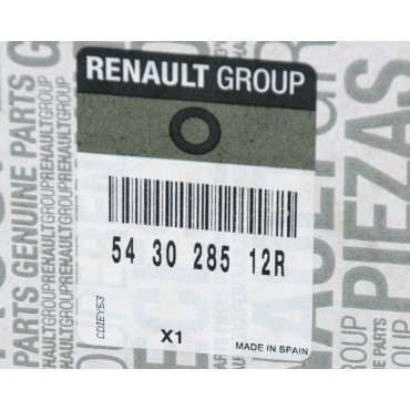 Amortisseur Avant Pour Renault Laguna III