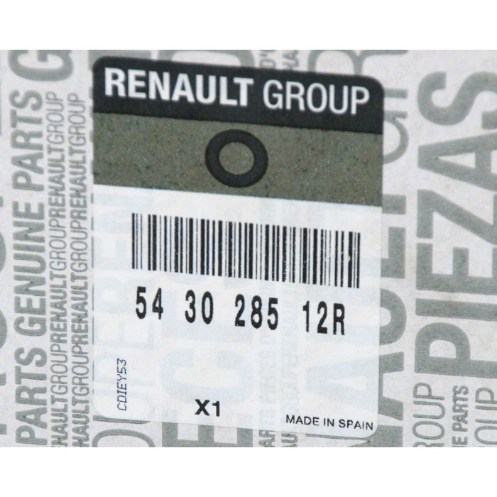 Amortisseur Avant Pour Renault Laguna III